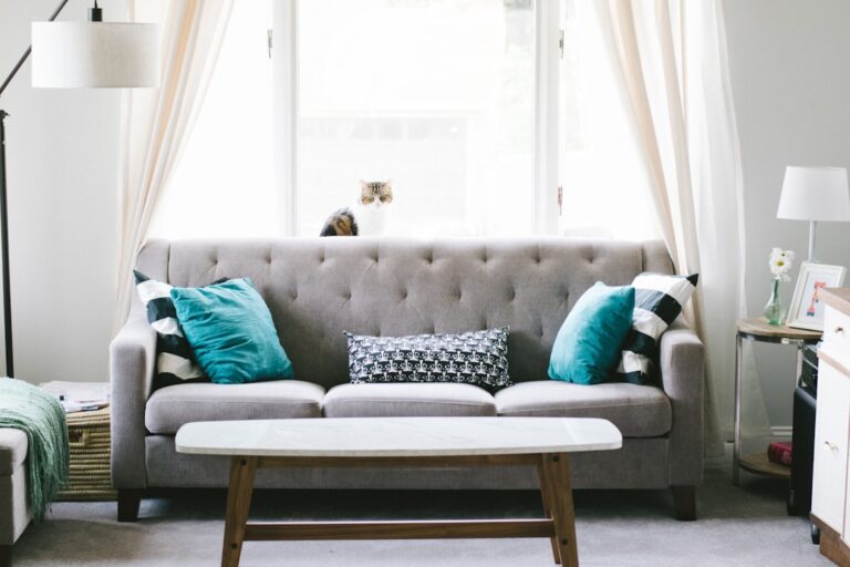 Elevate Your Interior Design with Affordable Decor Solutions